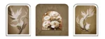 Çizgisel Zarafet ve Beyaz Çiçekler 3'lü Dekoratif Dijital Baskı Tablo Seti (60x80 cm)-(80x80 cm)-(60x80 cm) (GM18)